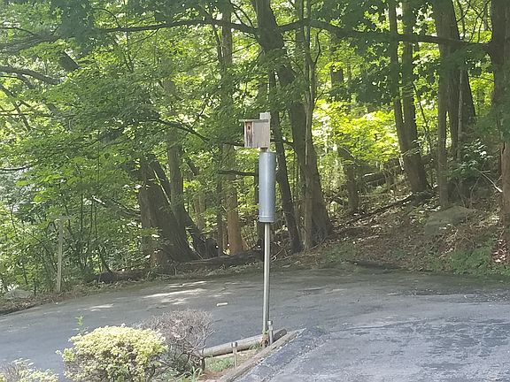 Dual parking driveway