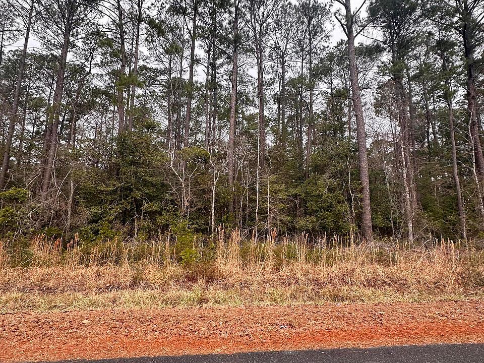 2nd image of 159 Dogwood Trail SW LOT 27