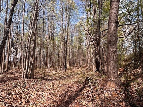 3rd image of Caves Mill Rd