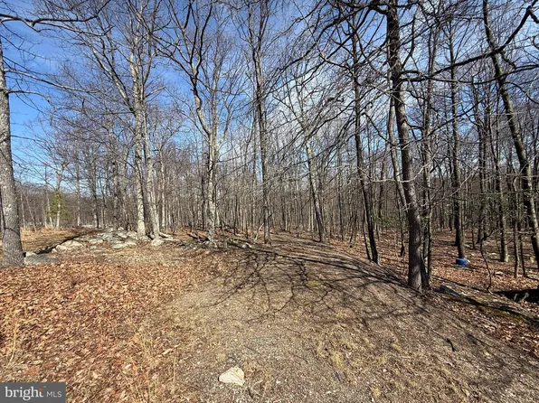 590 Parkside Ter, Berkeley Springs, WV 25411