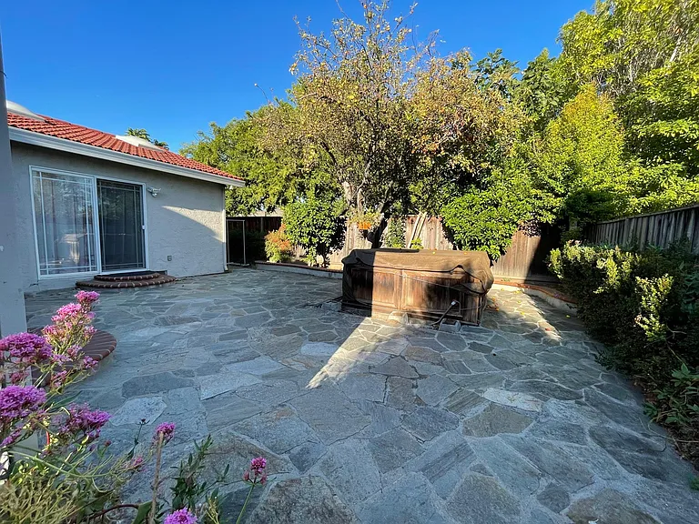 Palmetto Dr — Photo 9