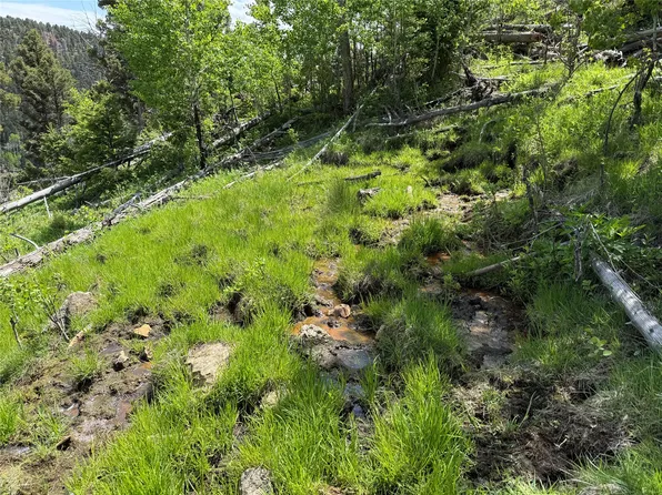 312/AC High Ore Rd, Boulder, MT 59632