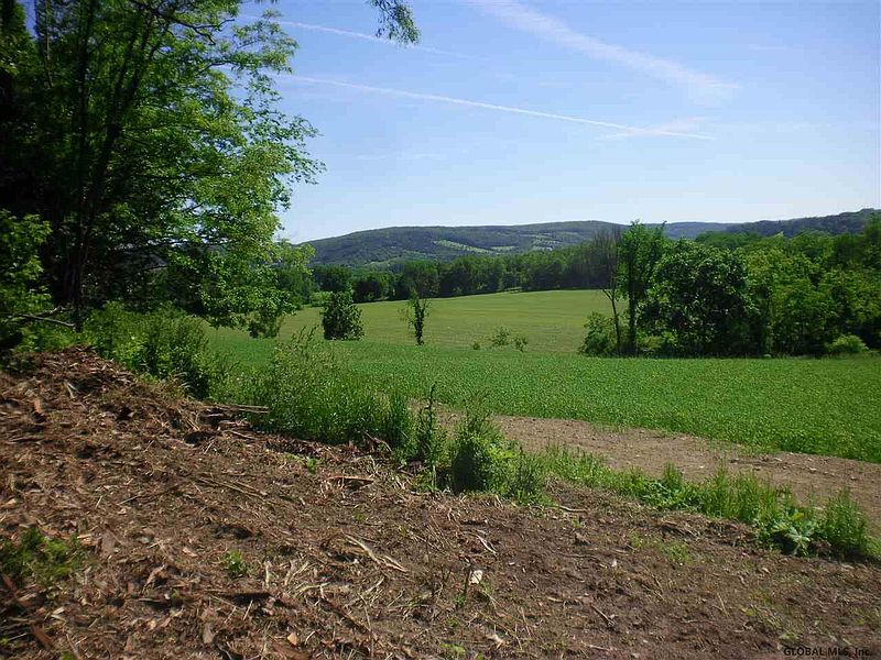 5th image of SCHOHARIE HILL Road