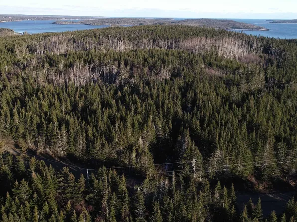 Pyes Head Rd Lot 6, Saint Mary's, NS B0J 2A0