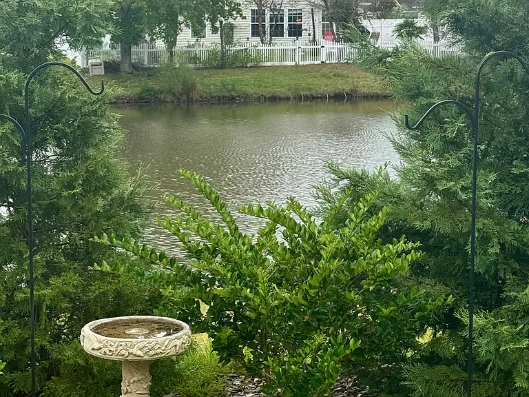 337 Golan Cir #C — Photo 33