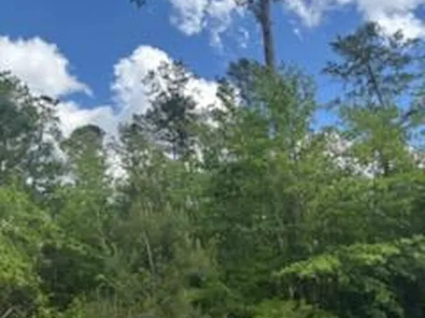 0 New Bethel Church Rd, Fitzgerald, GA 31750