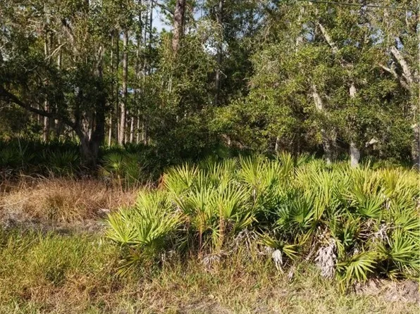 6905 W Oak Park Blvd, Homosassa, FL 34446