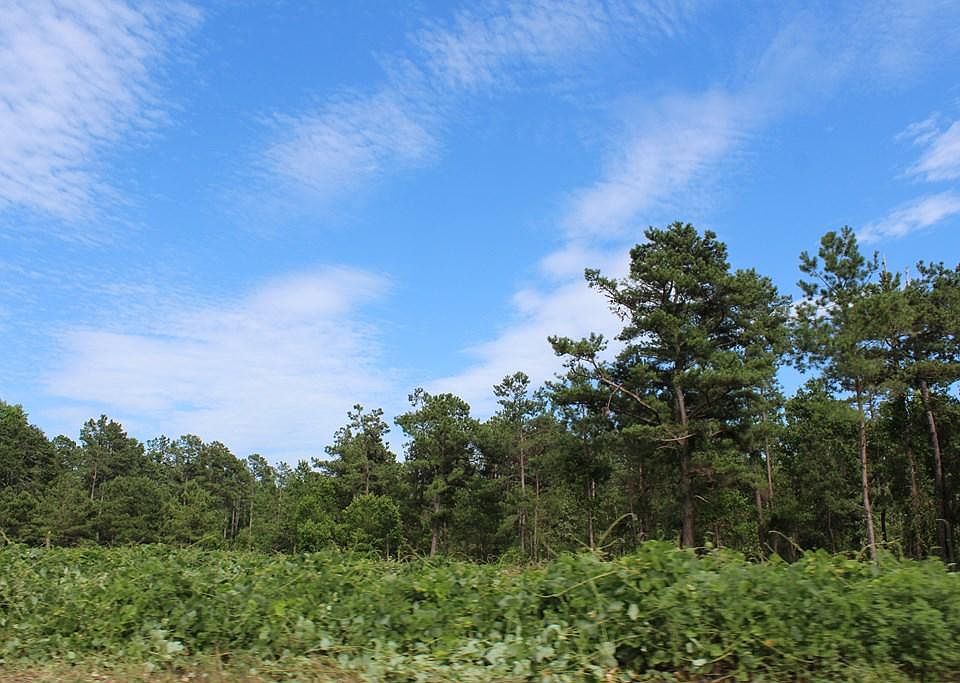 2nd image of 3405 Peach Orchard Rd