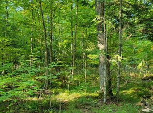 Polar Rd, Bryant, WI 54418