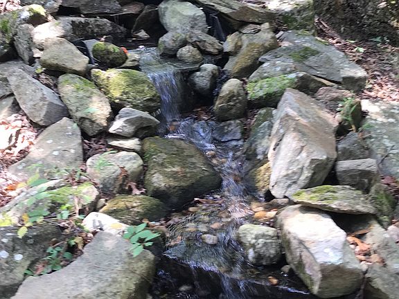 Front yard water feature