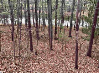 00C Lazy Ridge Trl #C, Lake Ann, MI 49650