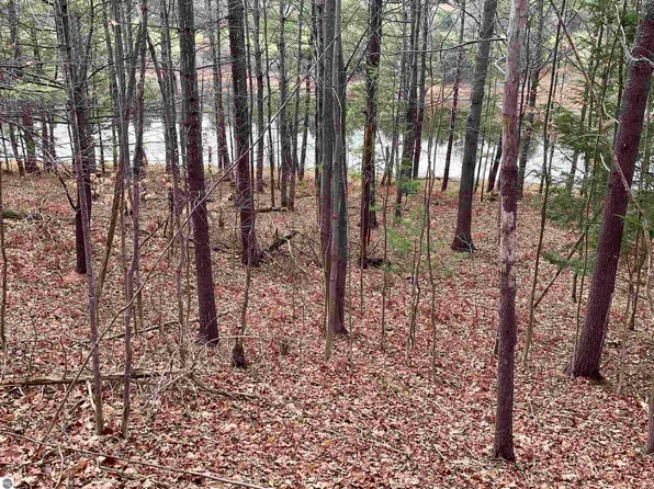 00C Lazy Ridge Trl #C, Lake Ann, MI 49650