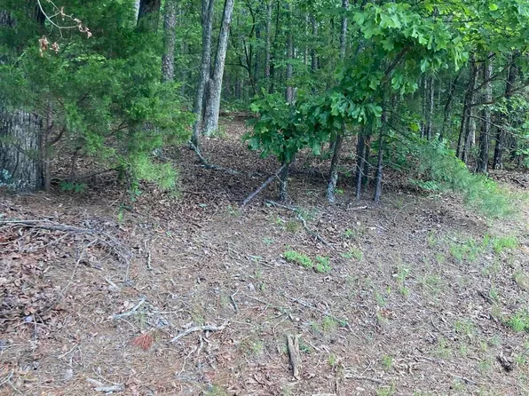0 Dave Creek Pkwy, Fairfield Bay, AR 72088