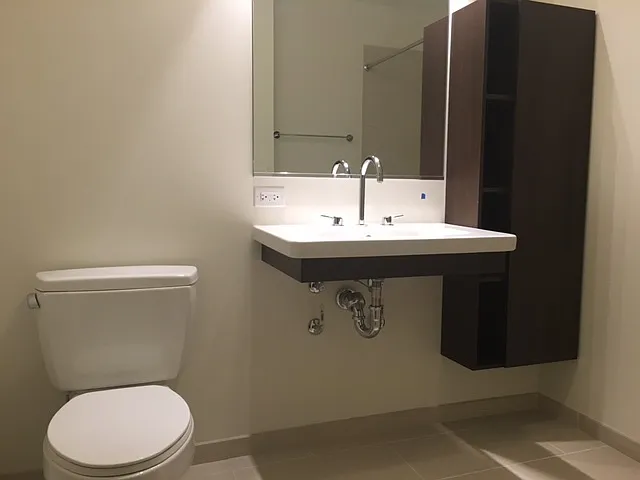 1345 S Wabash Ave #908 — Photo 3