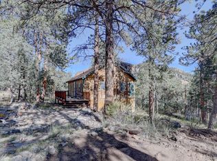 1999 Roland Dr, Bailey, CO 80421