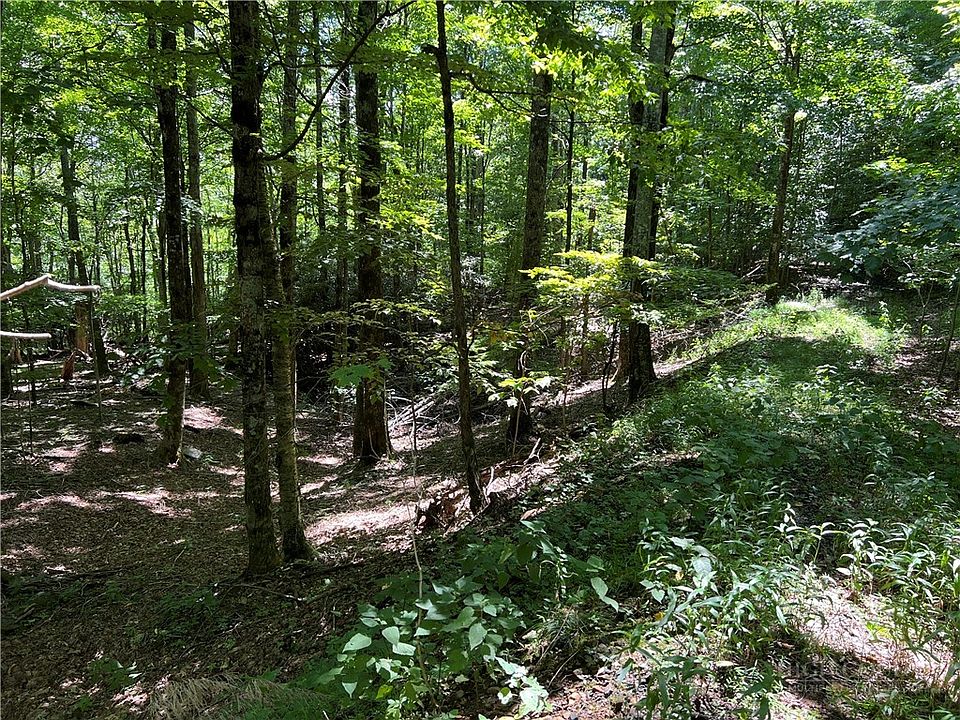 1st image of TBD Maple Branch Road