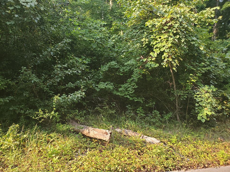 2nd image of 44 Colonel Dr