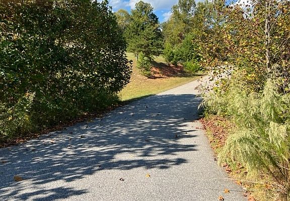 2nd image of 16 Arden Trl
