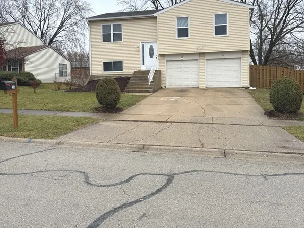 236 Yellow Pine Dr, Bolingbrook, IL 60440