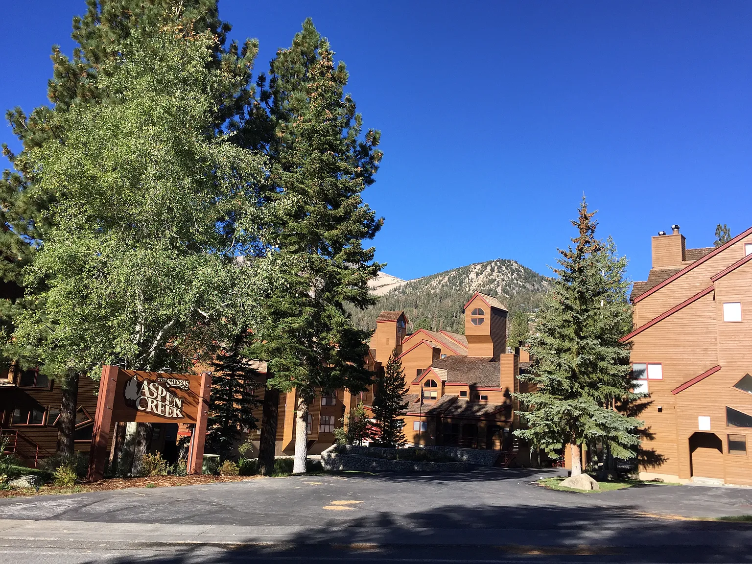 1 bed, 878 sqft, $5,000 — Photo 2