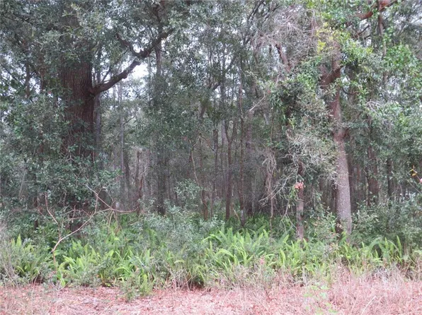 0 NE 107th Ave #18, Fort Mc Coy, FL 32134