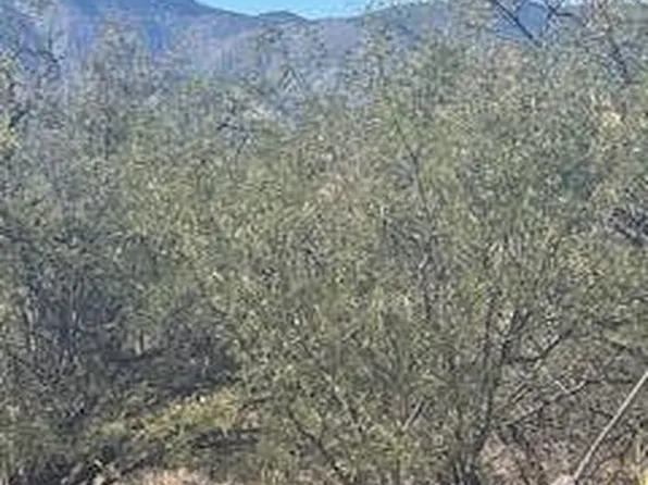 597 E WILDCAT Lane #1, Huachuca City, AZ 85616