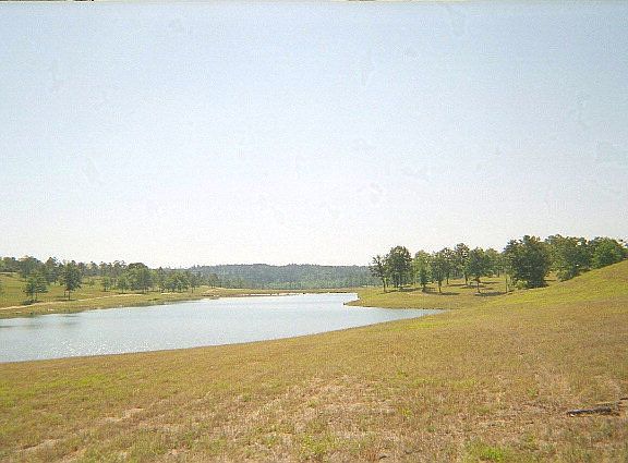 4th image of 835 Blue Roan Ct