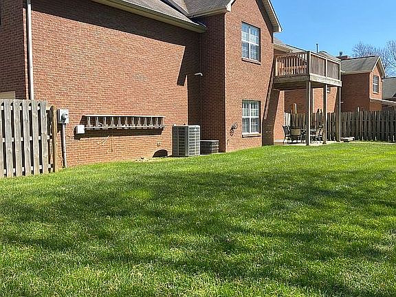 Back yard