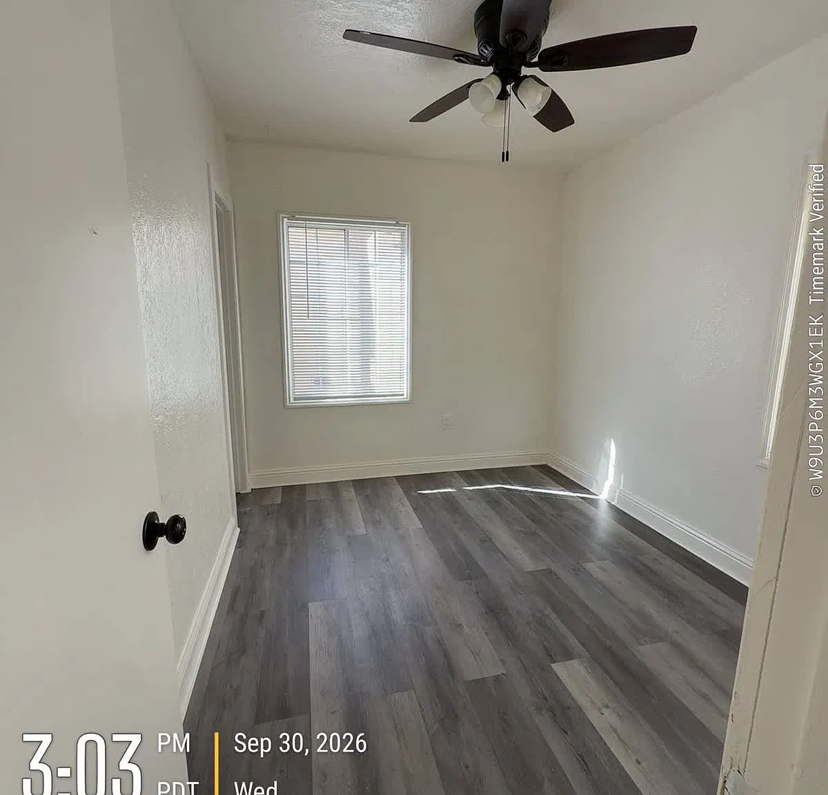 2027 Pacific St — Photo 4