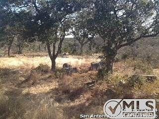 5th image of 286 Turkey Cv