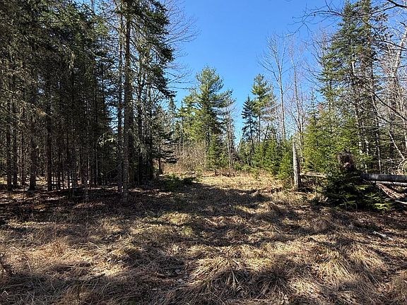 3rd image of Lot 016-01 142 Old Fisher Rd Road