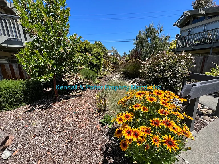 56-98 Seacliff Dr — Photo 19