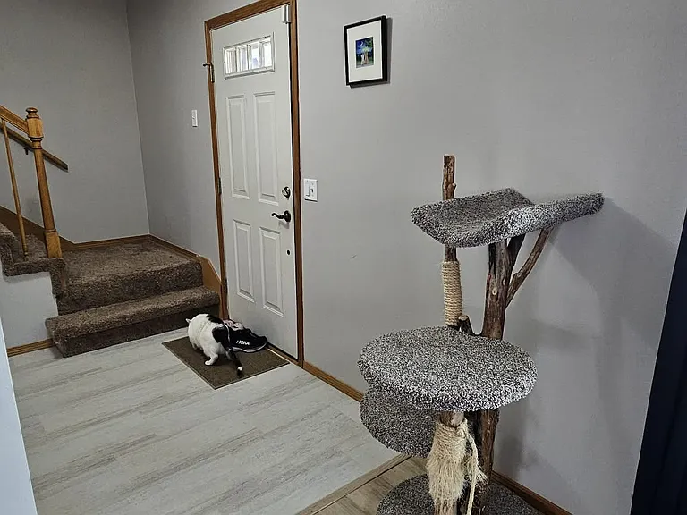 1425 Bellflower Ln — Photo 3