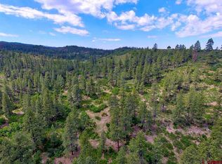 49494 E Us Highway 160, Bayfield, CO 81122