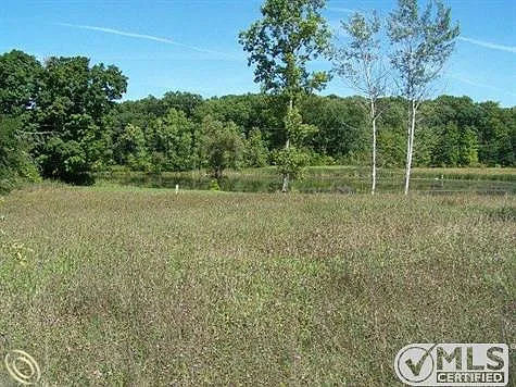 6255 Linden Rd photo 1