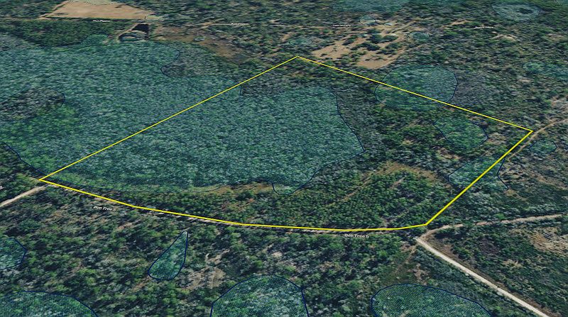 1st image of 0 SW Bee Tree Rd
