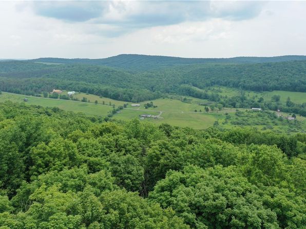 LOT 1 Pease Hill Rd #1, Truxton, NY 13158