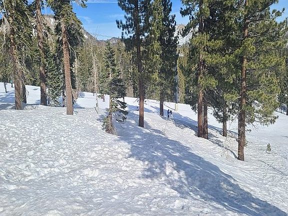 3rd image of 190 Juniper Rd