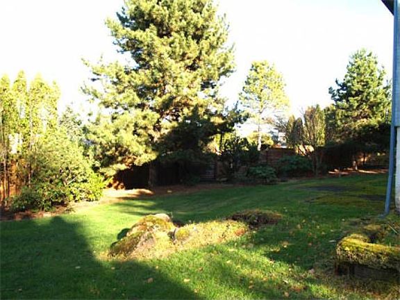 Mature landscaping