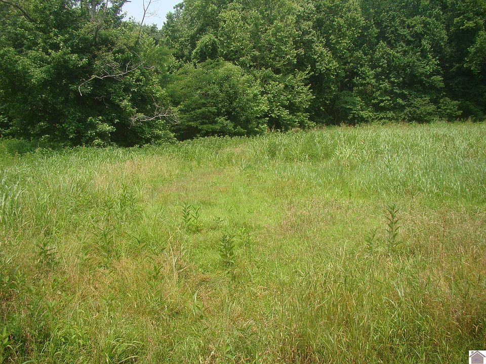 2nd image of 100 Howdy Doody Dr