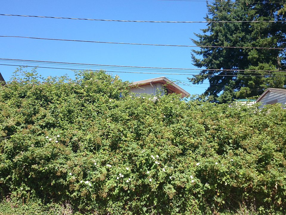 2nd image of 4326 29th Ave W