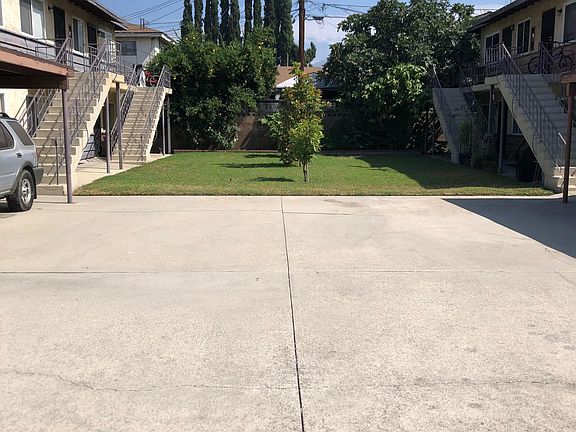 3 Up and Coming Avocado Trees