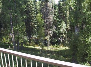 655 Meadowbrook Cir, Steamboat Springs, CO 80487