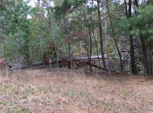 449 10th St, Ellijay, GA 30540