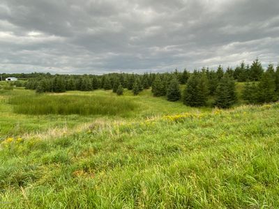 25 Tbd Co Hwy, Detroit Lakes, MN, 56501