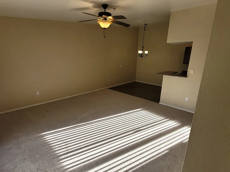 Living room and dining area