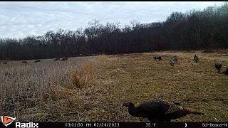 3rd image of 0 County Road 258