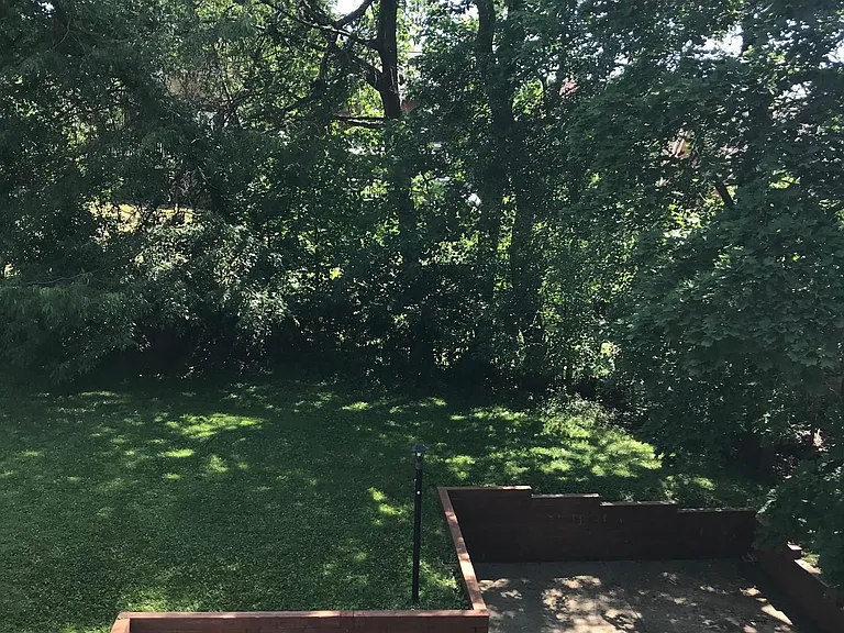 Backyard and Driveway