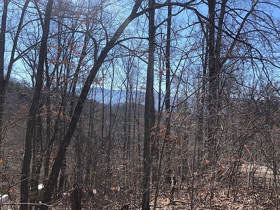 2nd image of 15 Hickory Tree St Lot 15