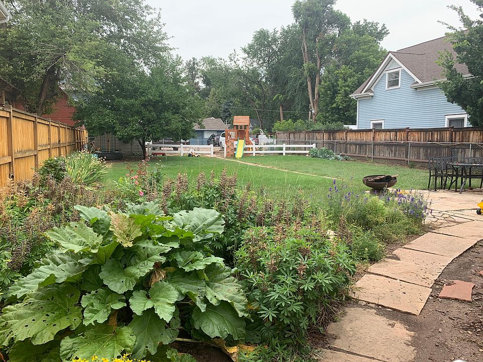 back yard